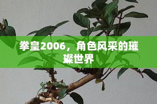 拳皇2006,角色风采的璀璨世界 拳皇2006,角色风采的璀璨世界