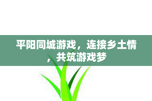 平阳同城游戏，连接乡土情，共筑游戏梦