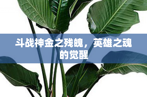 斗战神金之残魄，英雄之魂的觉醒