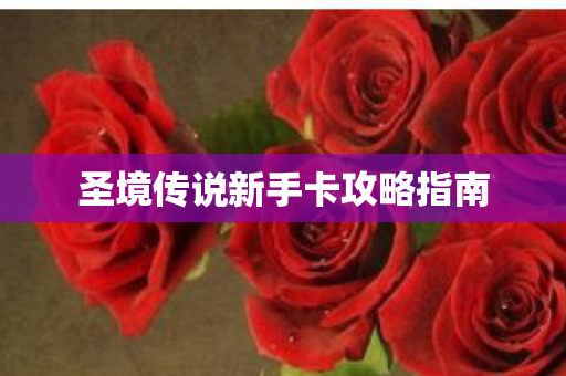 圣境传说新手卡攻略指南
