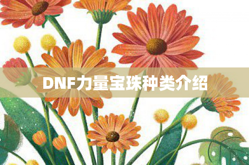 DNF力量宝珠种类介绍