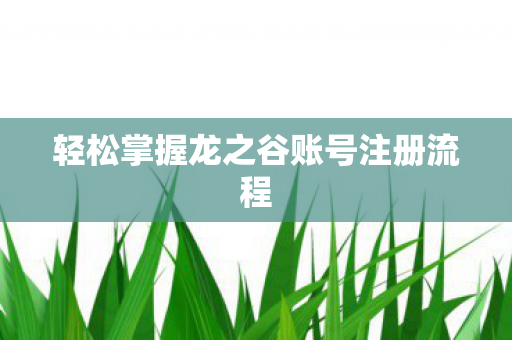 轻松掌握龙之谷账号注册流程