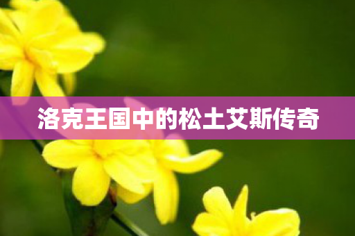 洛克王国中的松土艾斯传奇 洛克王国中的松土艾斯传奇