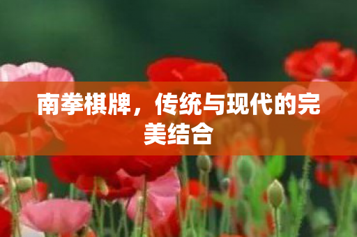 南拳棋牌，传统与现代的完美结合