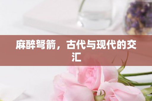 麻醉弩箭，古代与现代的交汇