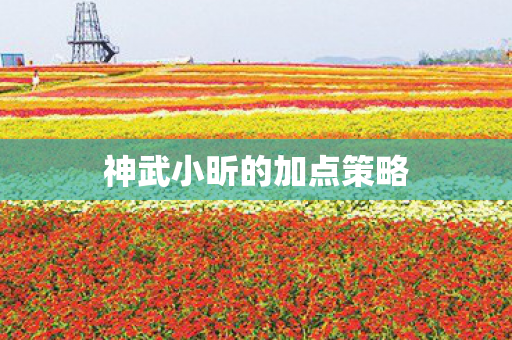 神武小昕的加点策略