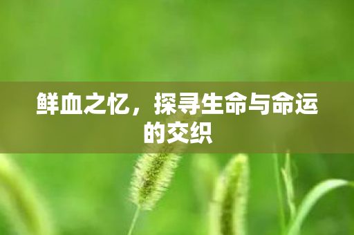 鲜血之忆,探寻生命与命运的交织 鲜血之忆,探寻生命与命运的交织