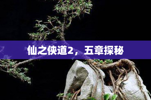 仙之侠道2,五章探秘 仙之侠道2,五章探秘