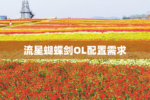 流星蝴蝶剑OL配置需求