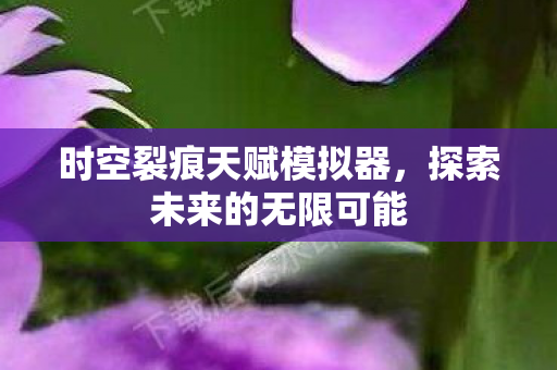 时空裂痕天赋模拟器,探索未来的无限可能 时空裂痕天赋模拟器,探索未来的无限可能