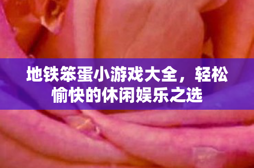 地铁笨蛋小游戏大全,轻松愉快的休闲娱乐之选 地铁笨蛋小游戏大全,轻松愉快的休闲娱乐之选