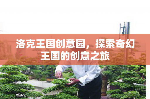洛克王国创意园,探索奇幻王国的创意之旅 洛克王国创意园,探索奇幻王国的创意之旅