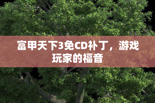 富甲天下3免CD补丁，游戏玩家的福音