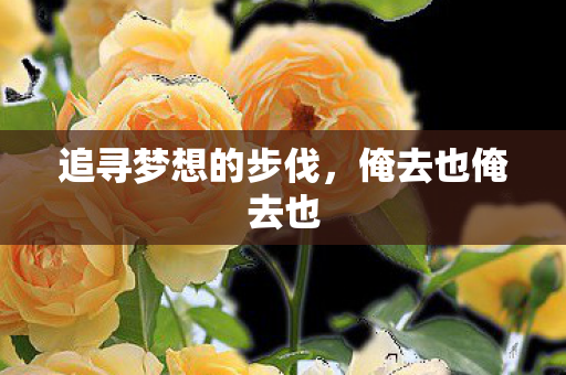 追寻梦想的步伐，俺去也俺去也