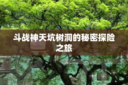 斗战神天坑树洞的秘密探险之旅