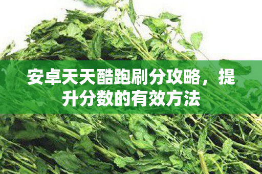 安卓天天酷跑刷分攻略，提升分数的有效方法