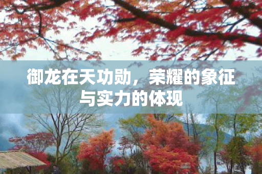 御龙在天功勋,荣耀的象征与实力的体现 御龙在天功勋,荣耀的象征与实力的体现