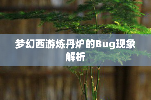 梦幻西游炼丹炉的Bug现象解析 梦幻西游炼丹炉的Bug现象解析