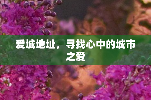 爱城地址,寻找心中的城市之爱 爱城地址,寻找心中的城市之爱