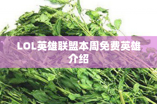 LOL英雄联盟本周免费英雄介绍