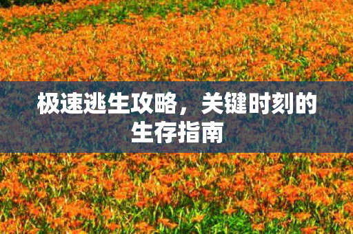 极速逃生攻略，关键时刻的生存指南