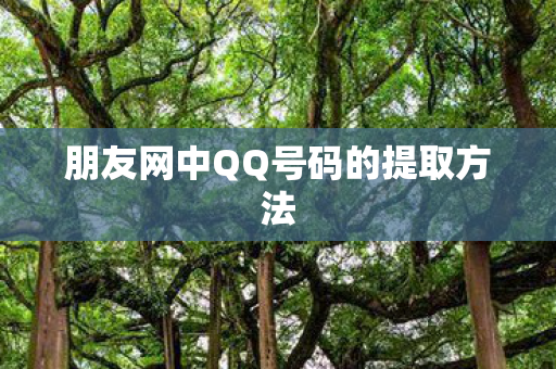 朋友网中QQ号码的提取方法
