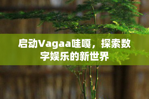 启动Vagaa哇嘎,探索数字娱乐的新世界 启动Vagaa哇嘎,探索数字娱乐的新世界