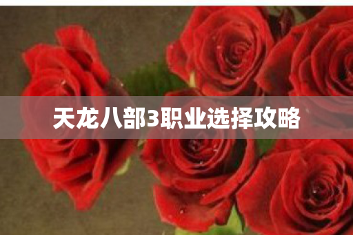 天龙八部3职业选择攻略 天龙八部3职业选择攻略