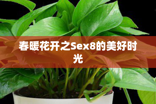 春暖花开之Sex8的美好时光 春暖花开之Sex8的美好时光