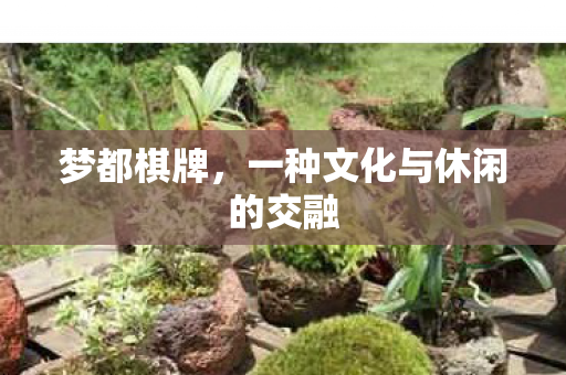 梦都棋牌，一种文化与休闲的交融