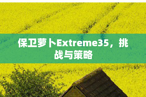 保卫萝卜Extreme35，挑战与策略