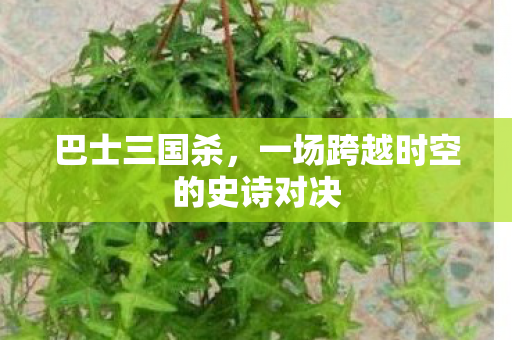 巴士三国杀，一场跨越时空的史诗对决