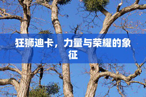 狂狮迪卡，力量与荣耀的象征