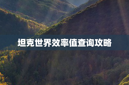 坦克世界效率值查询攻略