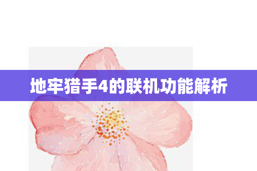 地牢猎手4的联机功能解析