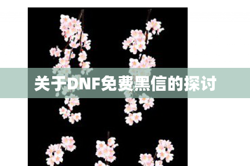 关于DNF免费黑信的探讨