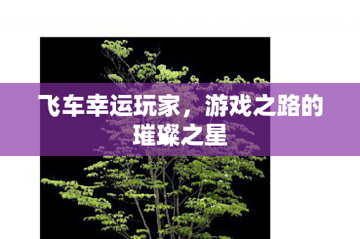 飞车幸运玩家，游戏之路的璀璨之星