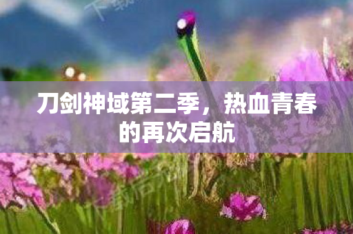 刀剑神域第二季，热血青春的再次启航