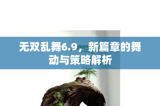 无双乱舞6.9，新篇章的舞动与策略解析