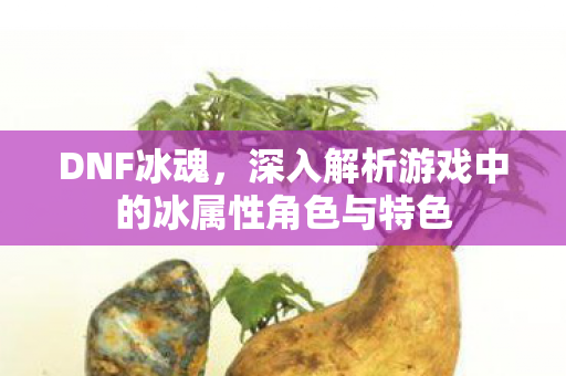 DNF冰魂，深入解析游戏中的冰属性角色与特色