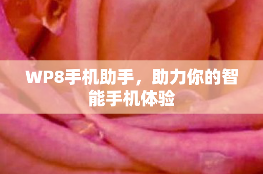 WP8手机助手，助力你的智能手机体验