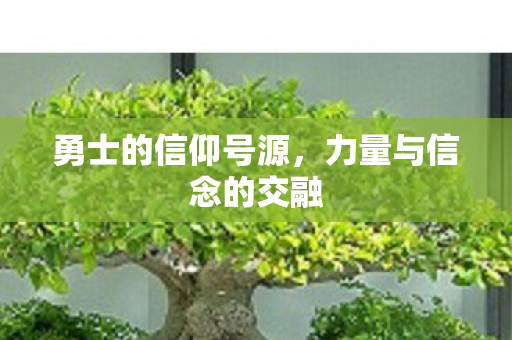 勇士的信仰号源，力量与信念的交融