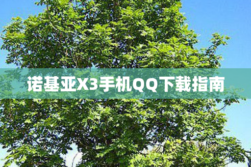 诺基亚X3手机QQ下载指南