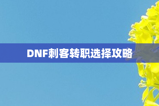 DNF刺客转职选择攻略