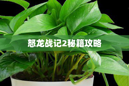 怒龙战记2秘籍攻略