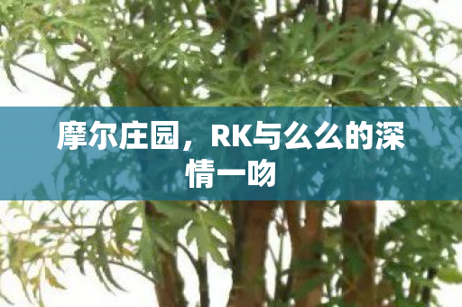 摩尔庄园，RK与么么的深情一吻