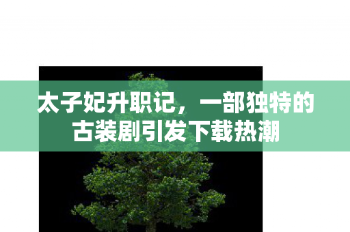 太子妃升职记，一部独特的古装剧引发下载热潮