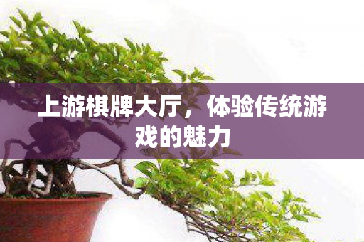 上游棋牌大厅，体验传统游戏的魅力
