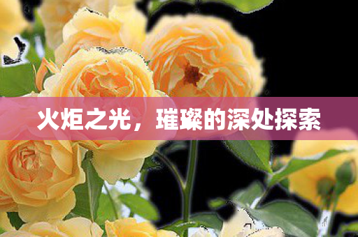 火炬之光，璀璨的深处探索