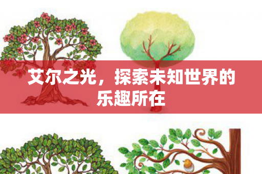 艾尔之光，探索未知世界的乐趣所在